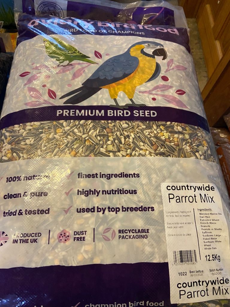 Budgie, parakeet, parrot mix