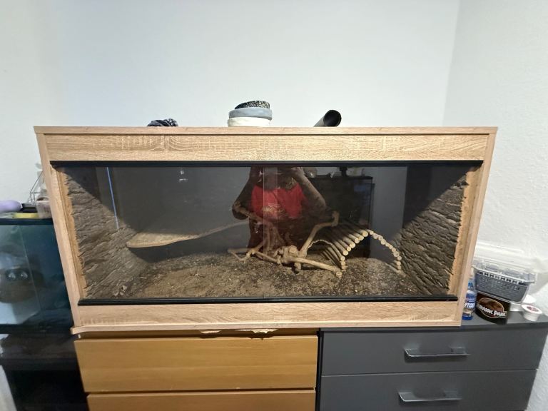 4x2x2 vivarium
