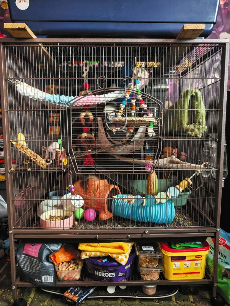 Large Rat cage