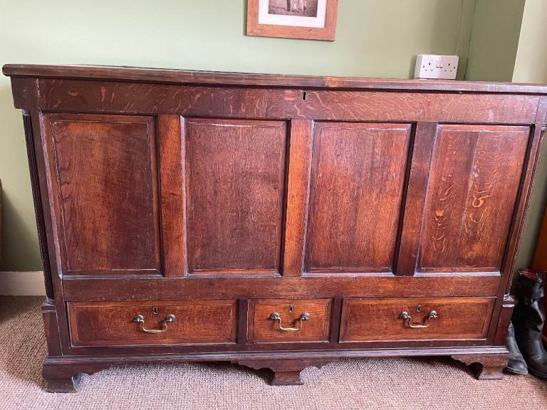 Large Antique Mule Chest