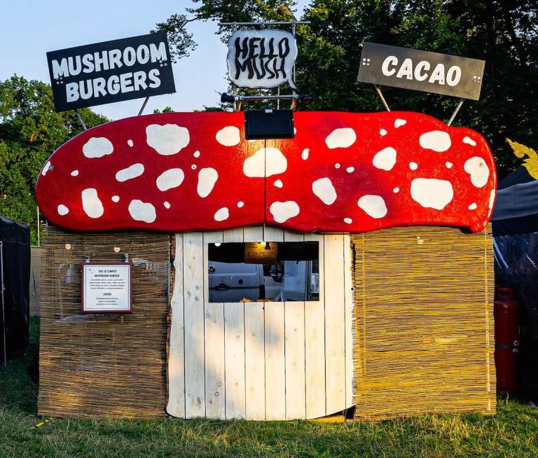 Giant Mushroom Festival Street Food Stand | Bar Counter | DJ Booth For Sale