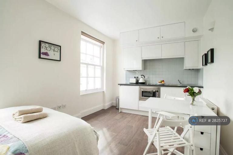 Studio flat in Gloucester St, London, SW1V (#2825737)