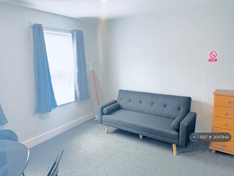 1 bedroom flat in Newport Road, Reading, RG1 (1 bed) (#3047842)