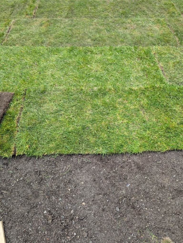 Turf 20 rolls/ 20 meters squared roughly