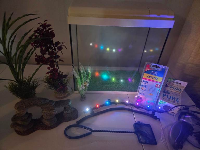 Fish tank and light wand, bubble wand and accessories