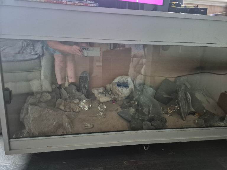 4ft vivarium