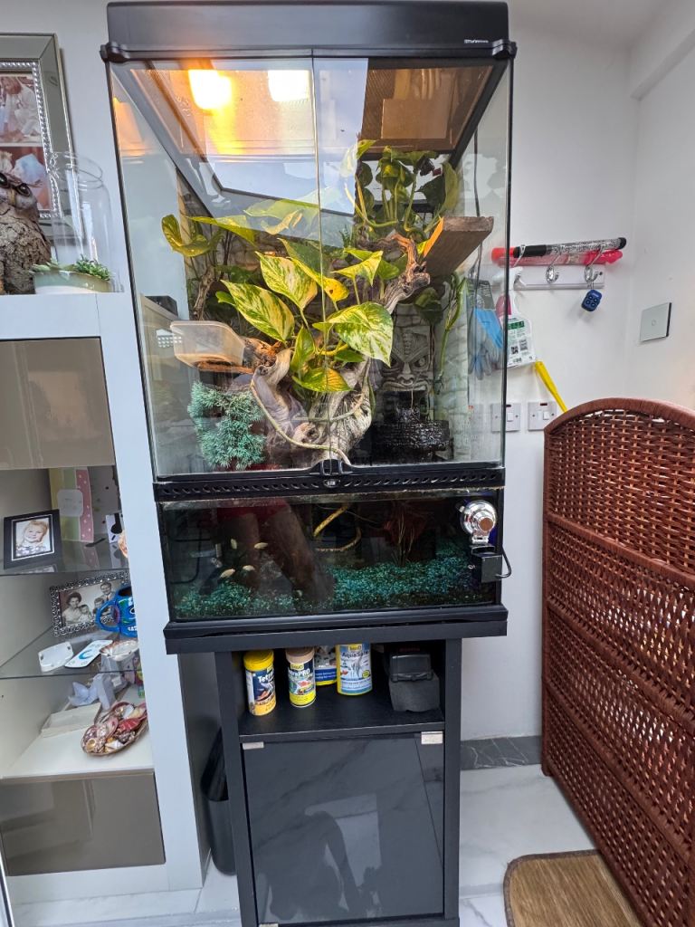 Fully Established Exo Terra Paludarium Setup - Cabinet