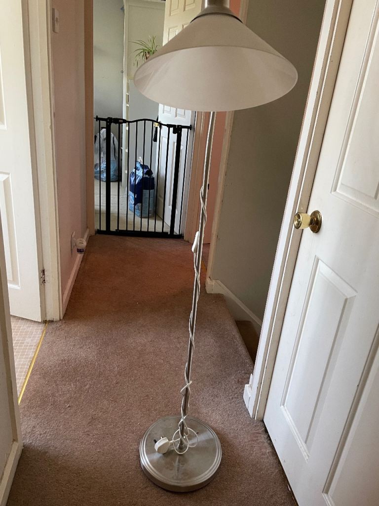 Floor lamp and shade