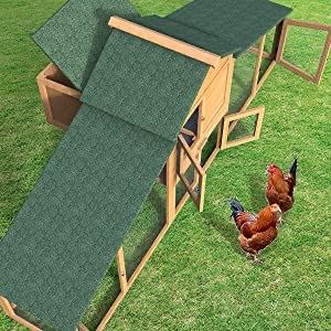 New chicken coop, rabbit run, guinea pig enclosure 