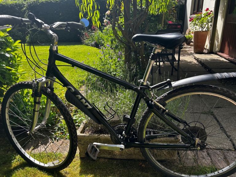 Men’s Giant Cypress bike for sale
