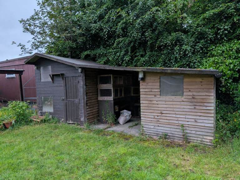 Free Shed