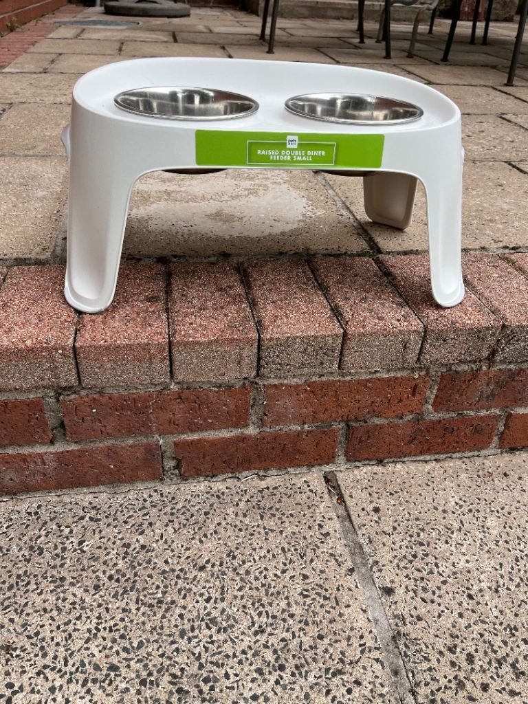 Double dog bowl small