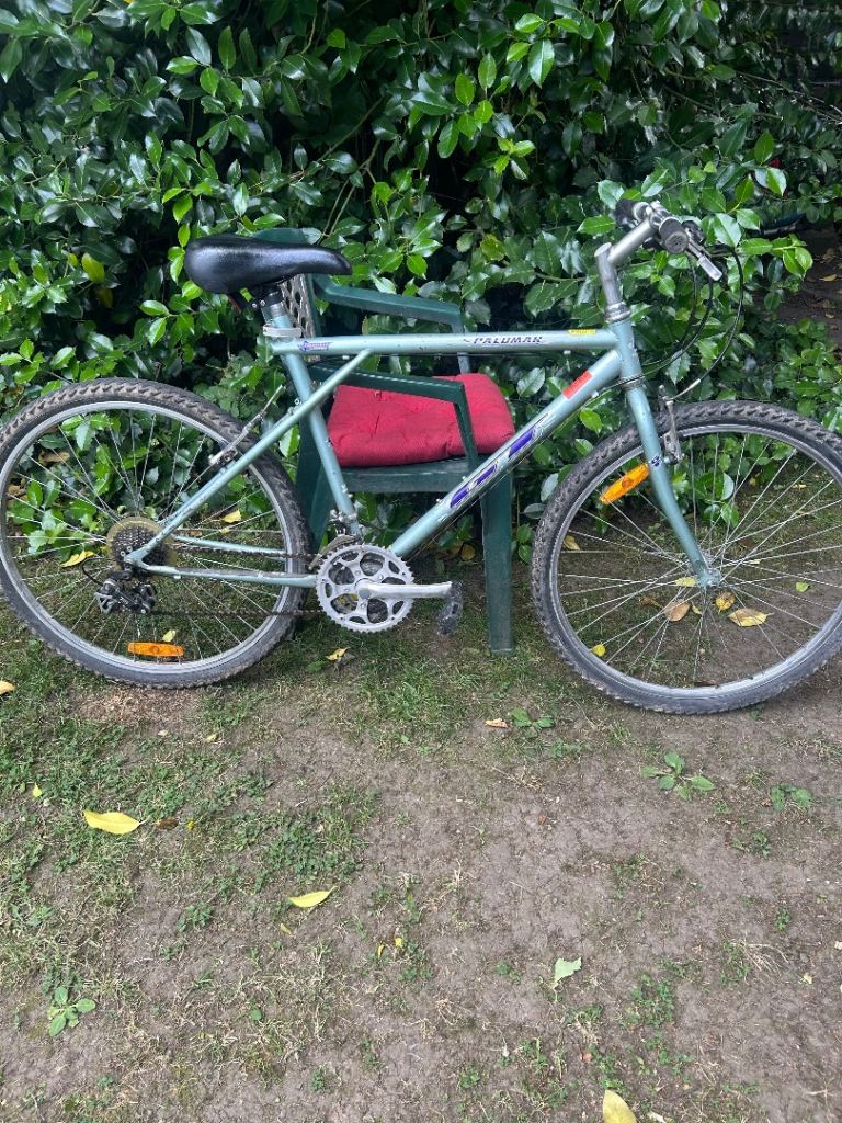GT Palomar adult mountain bike