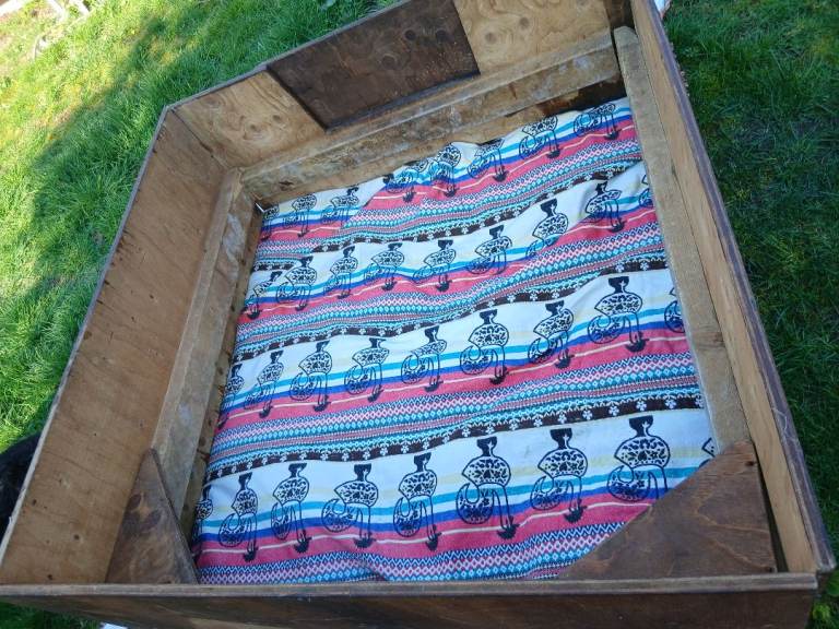 Whelping box solid wood