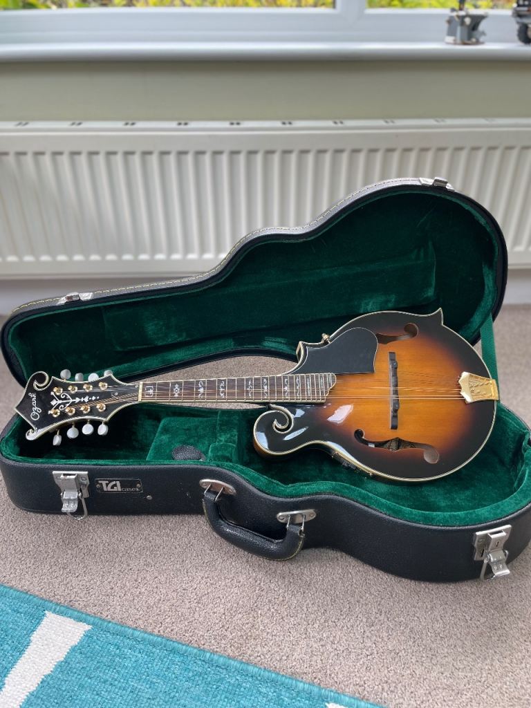 Ozark ‘The Professional’ 2255e mandolin