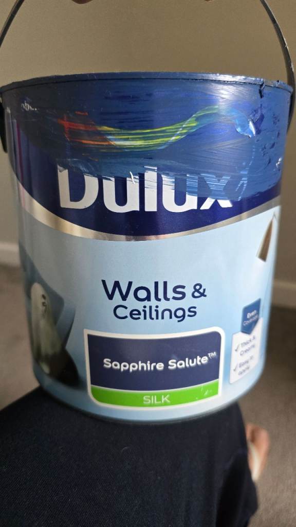 Dulux Saphire Salute Silk Paint