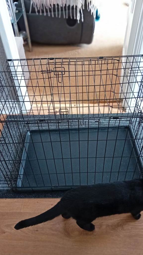 Pet Cage