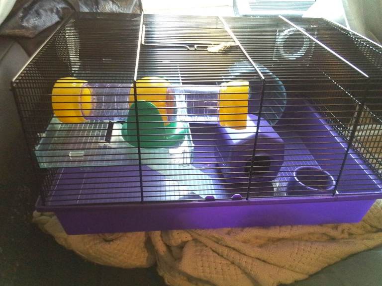 Pet cage
