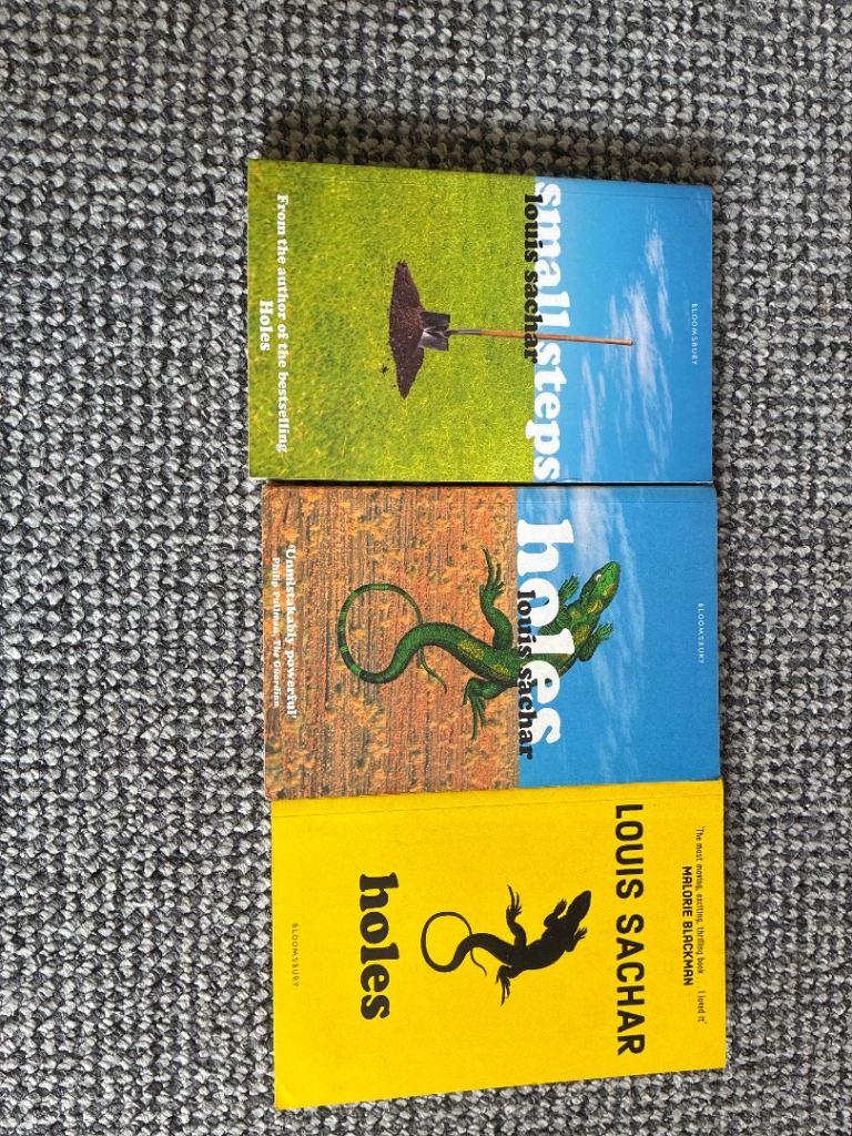 Louis Sachar Book Set: Holes & Small Steps – Good Condition