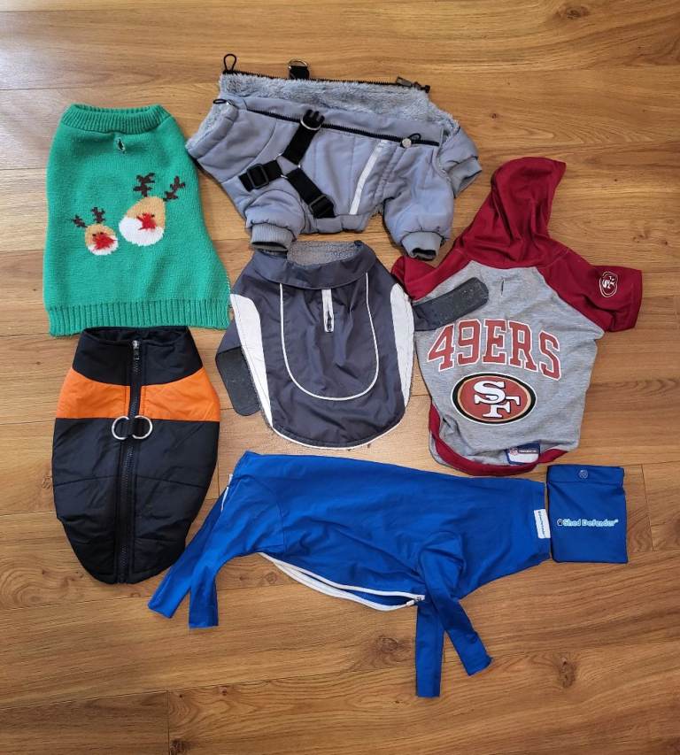 Small dog clothing bundle 