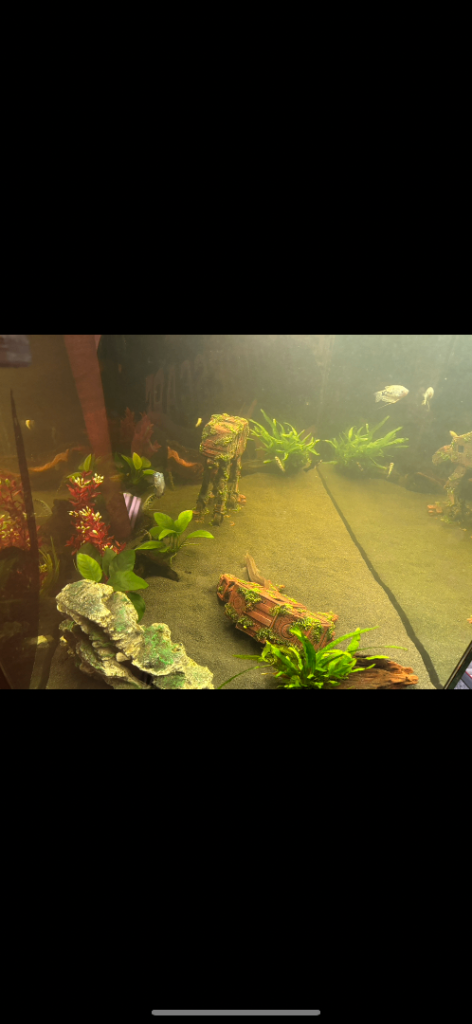 300 L fish tank and stand 