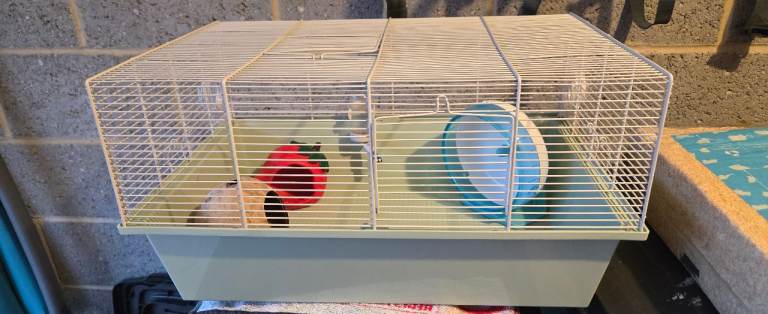 Hamster cage and accessories