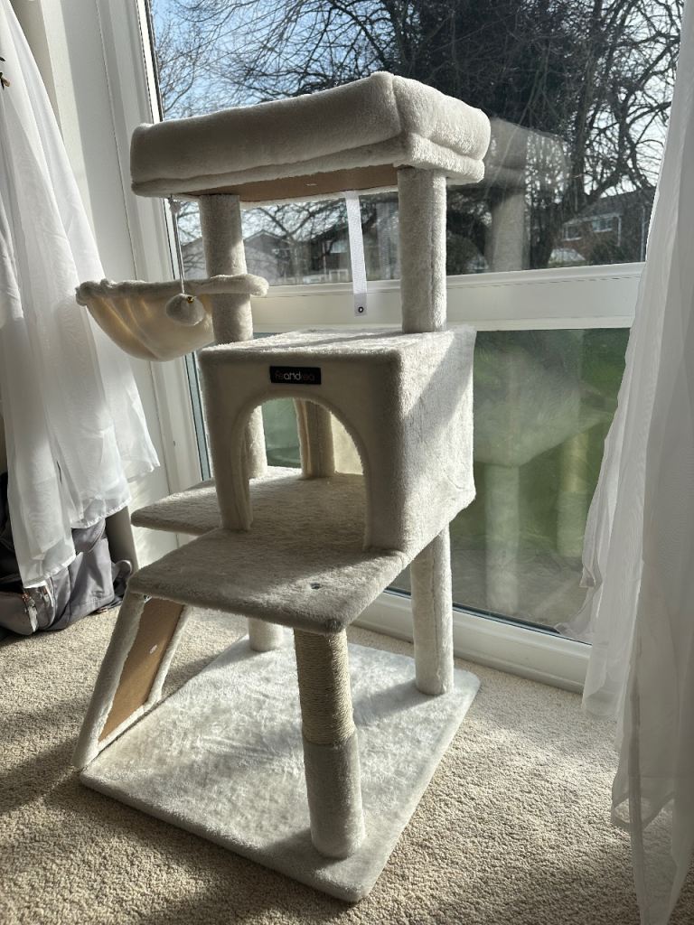 Cat tree and litter box