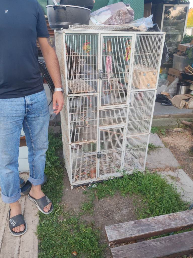 Big birds cage 