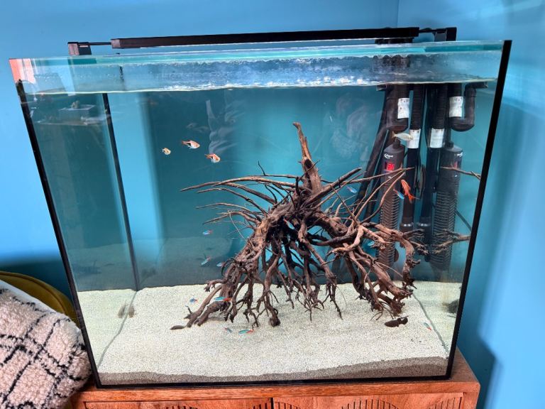 110L Fish Tank with Filter, Heater and Lights