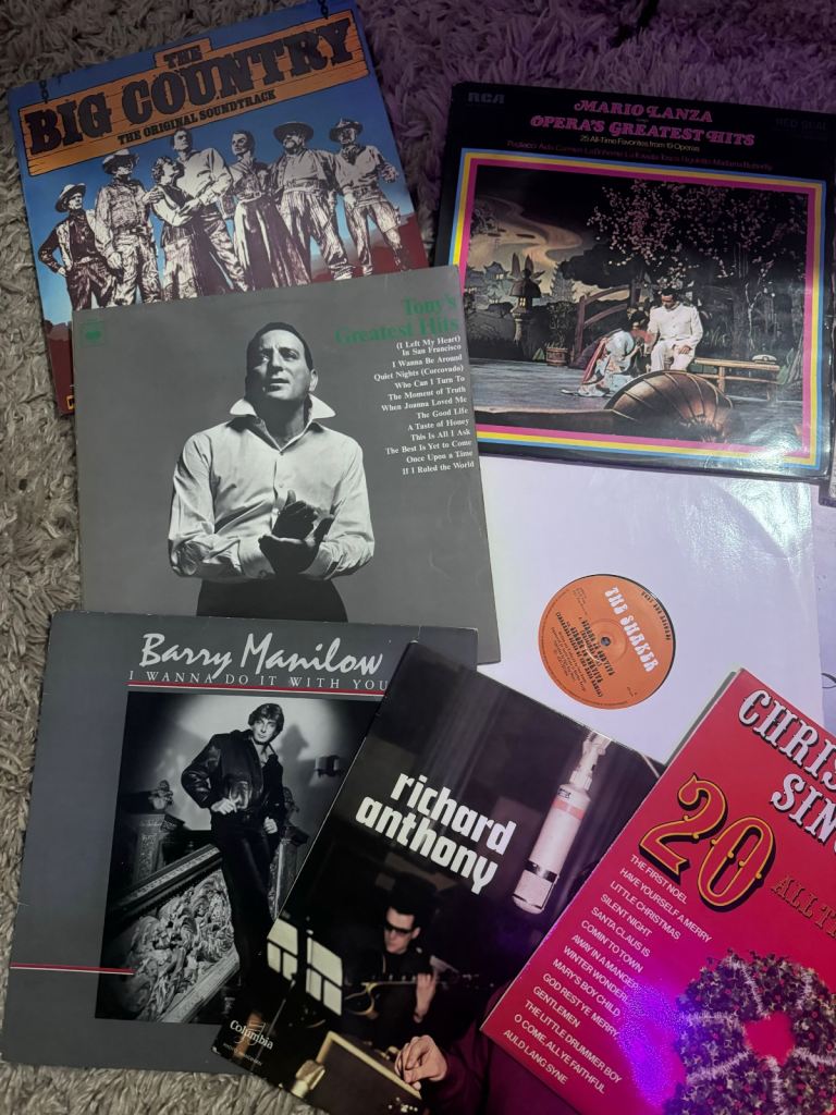 Vinyl Record collection + Box and Key 