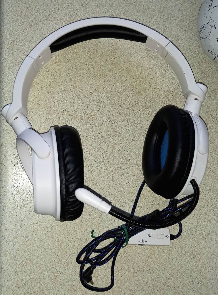 Headphones With Mic