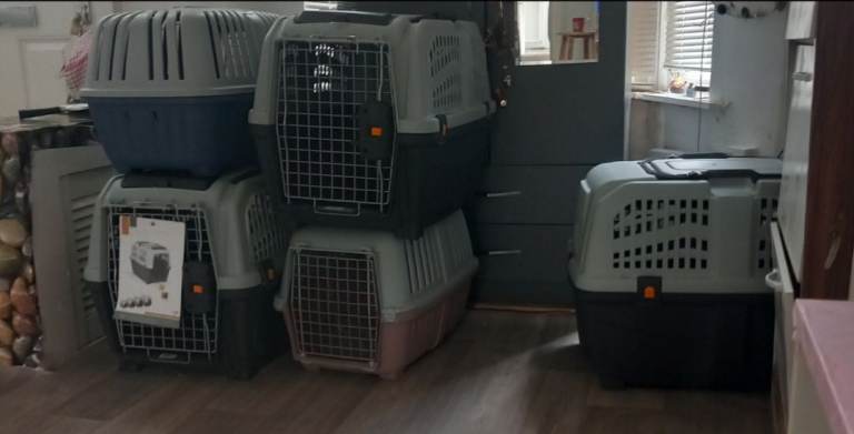 Pets kennels