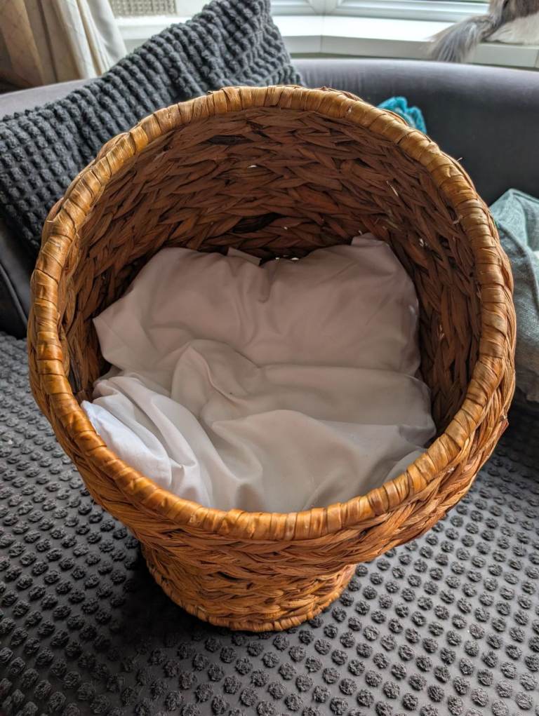 Cat bed wicker igloo 