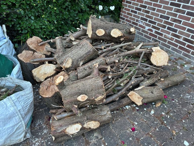 Logs - Free - Collect 