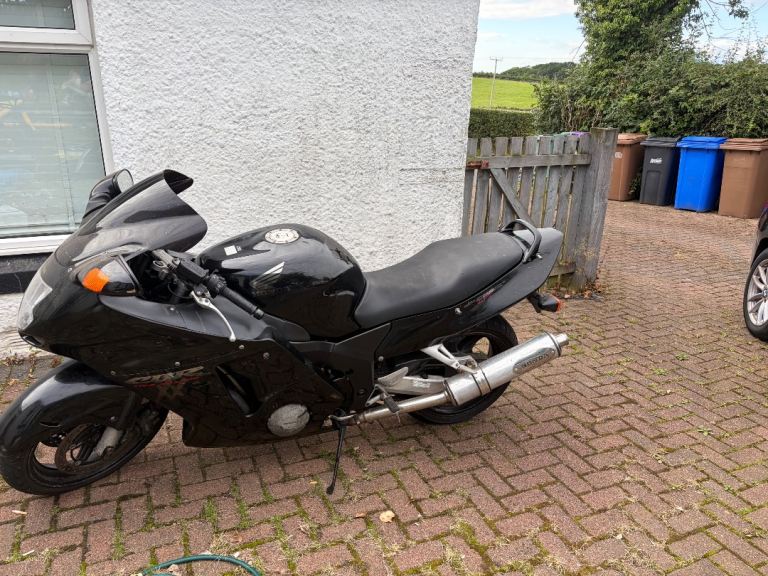 Honda blackbird 