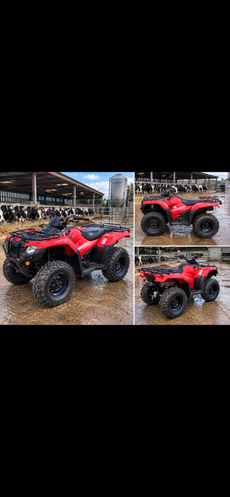 Quad bike 