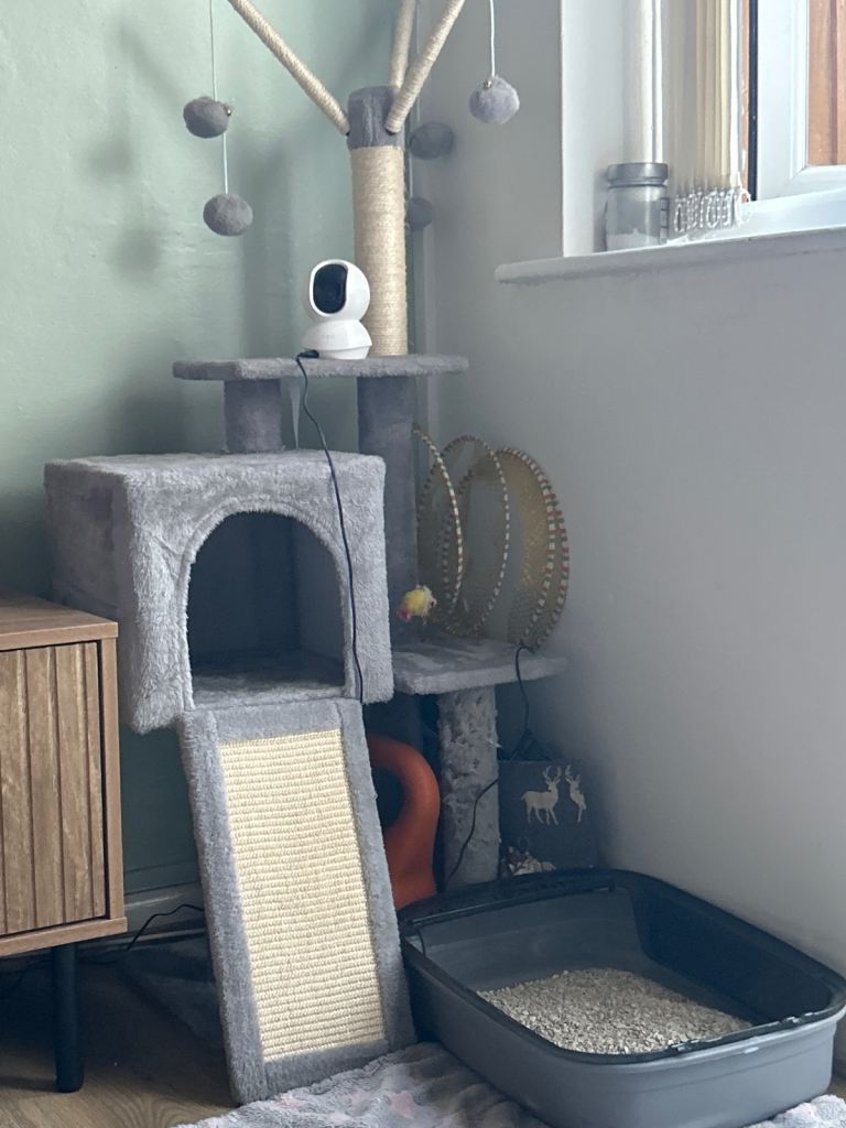 Cat tower 