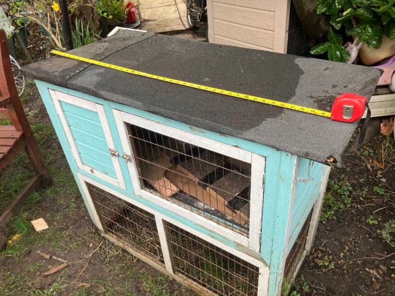 Guinea pig hutch needs tlc 
