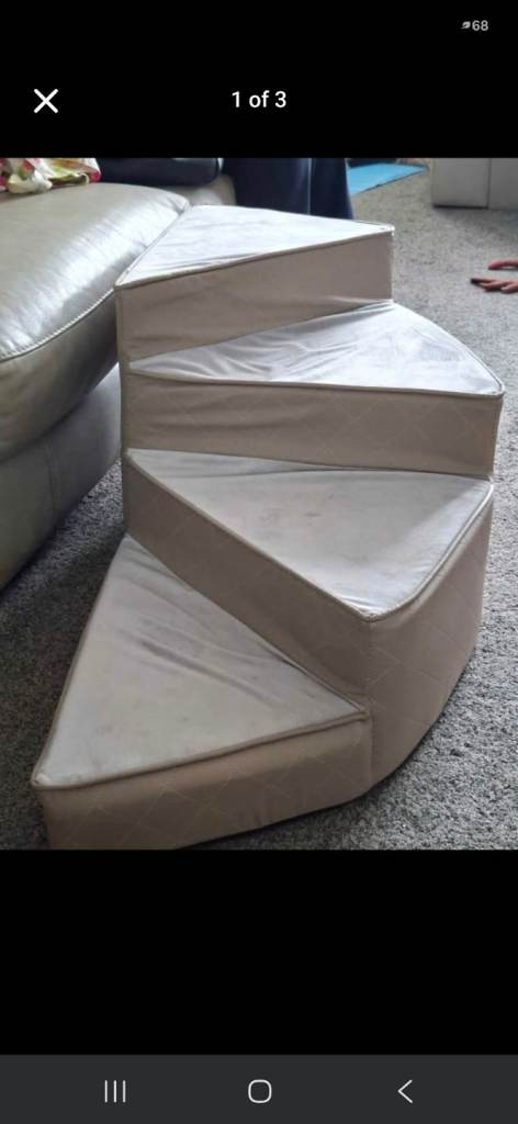 Dog steps 