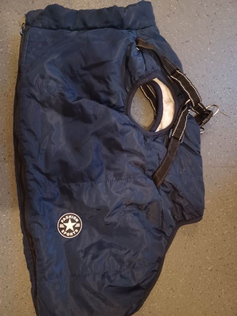  dog coat with harness 