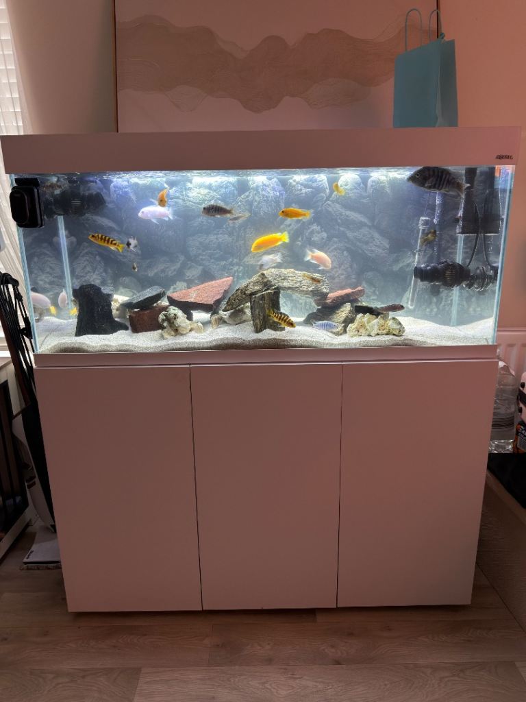 Large Aquarium Fish Tank with Cabinet and Filter