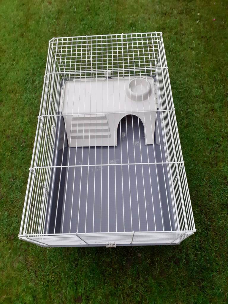 Indoor Guinea Pig Cage