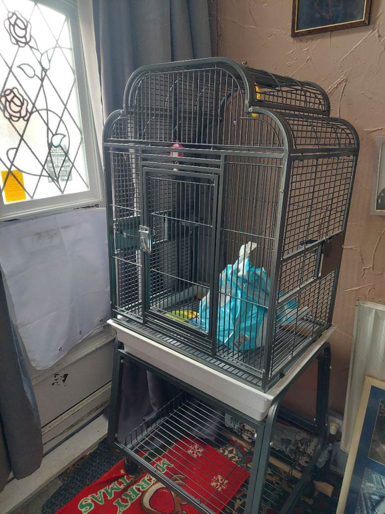 Bird cage and stand