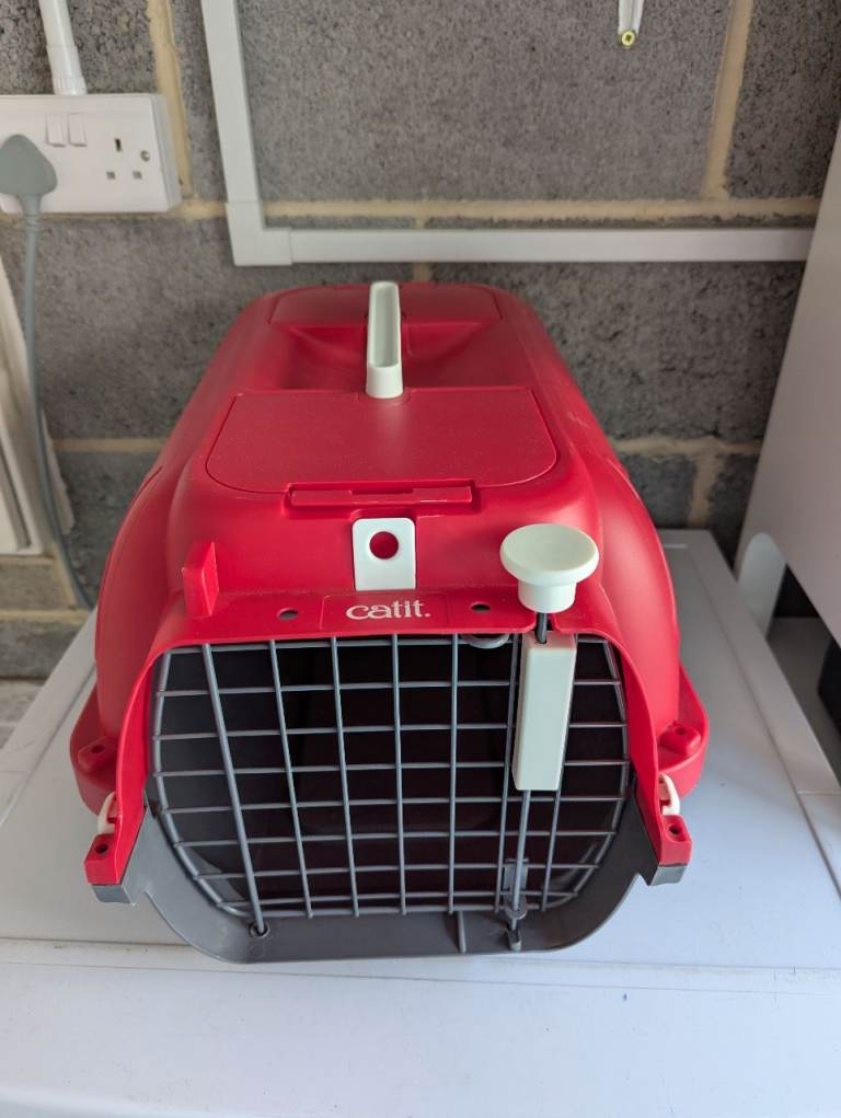 Cat box. Medium. Free. 