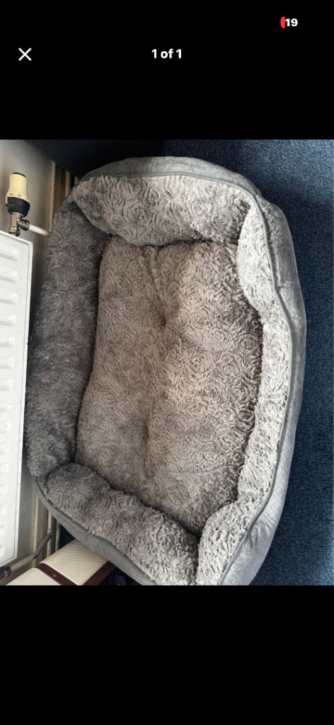 Large dog bed