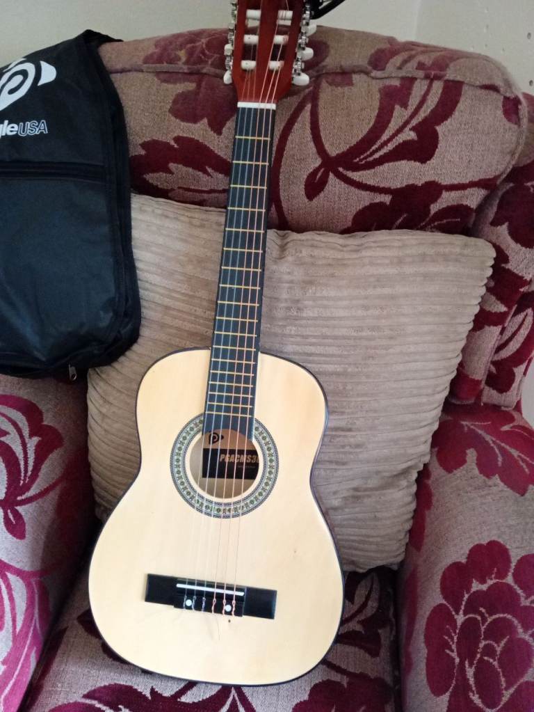 Acoustic Guitar (Left Hand)