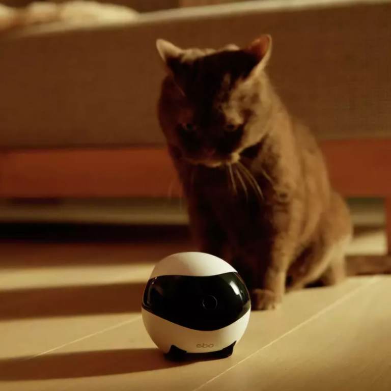 Enabot robot for pets