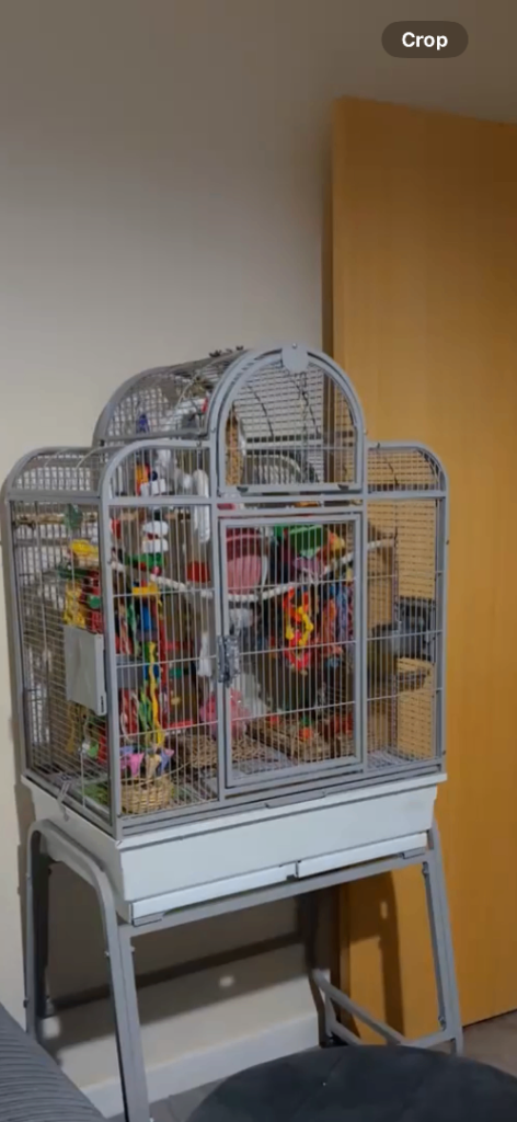 Bird cage and stand 
