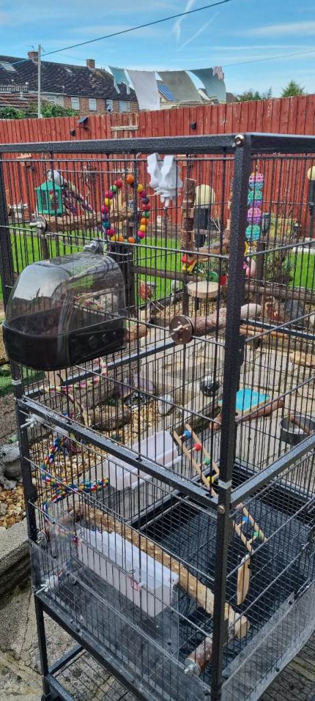 Budgie cage