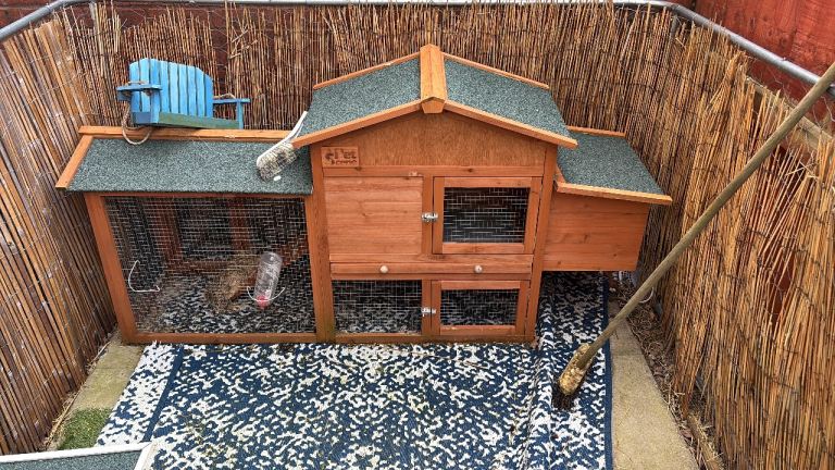 Rabbit hutch